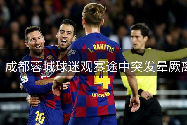 成都蓉城球迷观赛途中突发晕厥离世 俱乐部发声明致哀